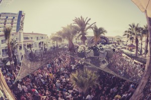 Ants at Ushuaia