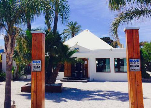 Blue marlin Ibiza
