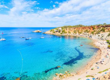 Marine life you might spot while diving around Ibiza