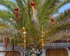 Christmas Decorations in a Tree in Ibiza