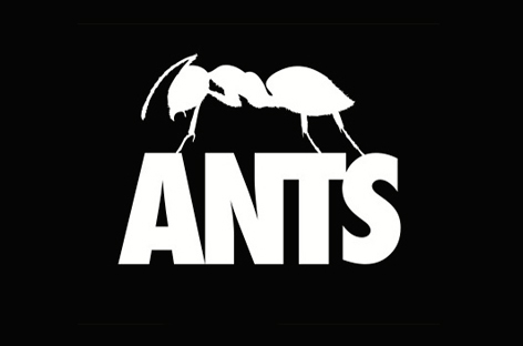 Ants Ibiza Logo