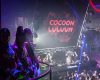 cocoon