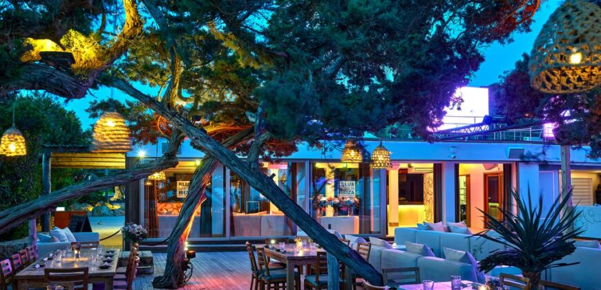 Blue Marlin Ibiza">