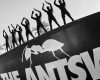 United Ants at Ushuaia