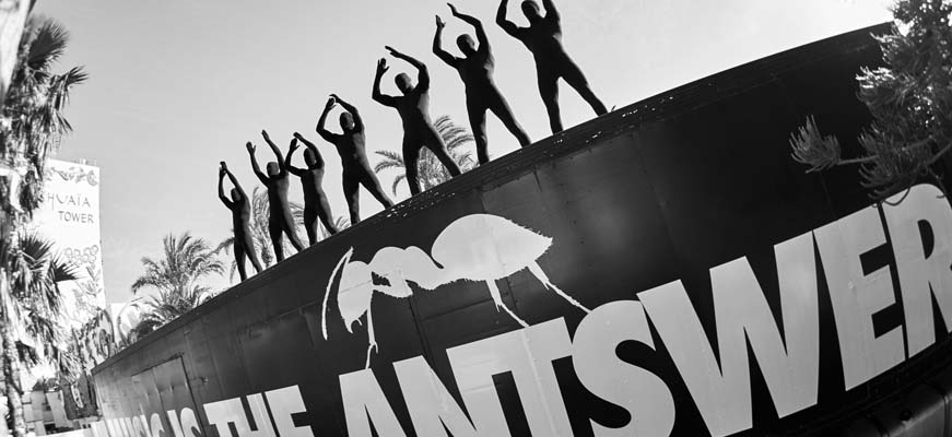 United Ants Closing