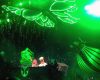 A night in the Garden of Madness at Ushuaïa!