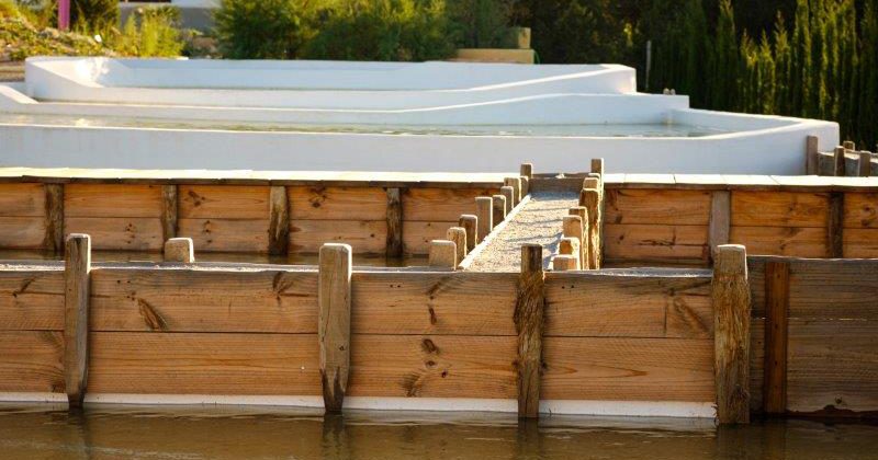 Ibiza Botánico Biotecnológico">