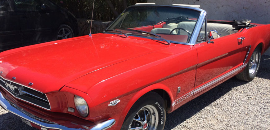 Mustang Adventures">