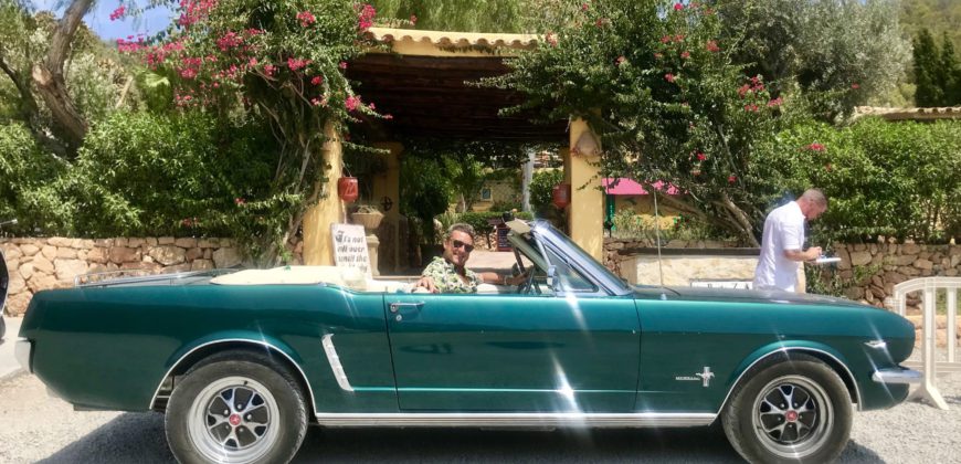 Mustang Adventures">