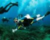 Arenal Diving Ibiza