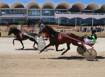 San Rafael Racecourse: The Heart Of Ibiza’s Horse Racing