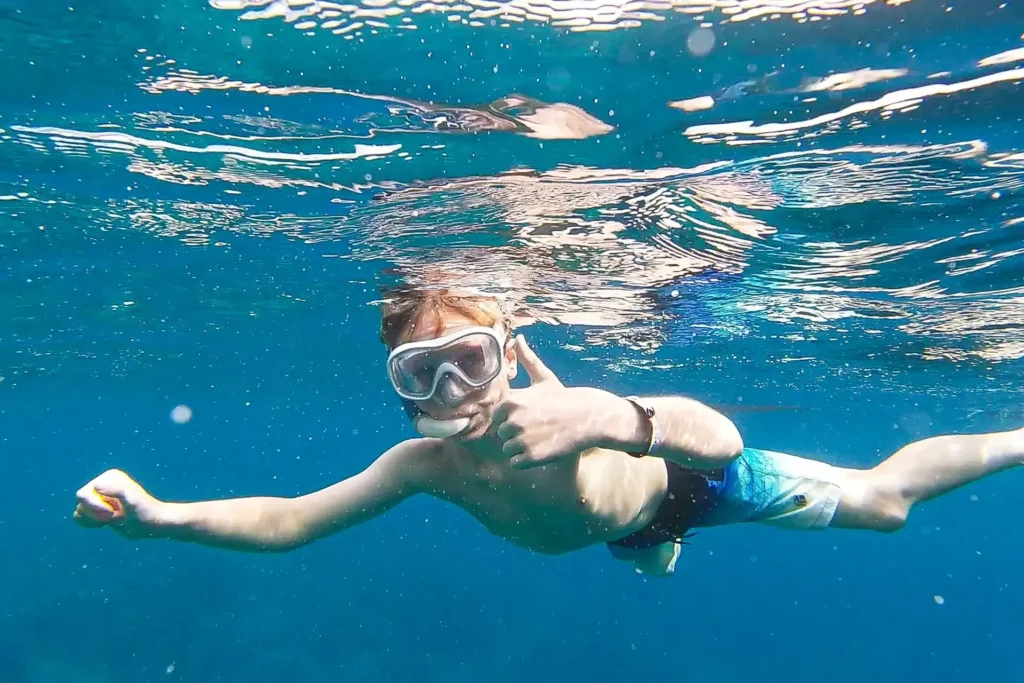 Meet the sea ibiza